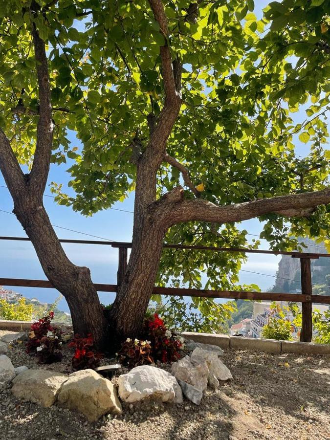 La Villa Di Enzo Casa Vacanze Con Vista Mare อามาลฟี ภายนอก รูปภาพ